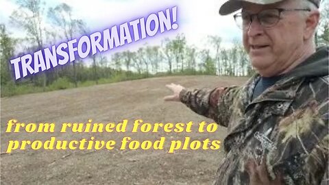 See The Result of This Incredible Food Plot Transformation!