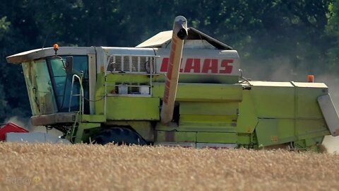 Class Dominator 203 combine harvester