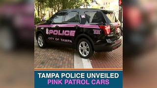 Tampa Police Department unveils pink patrol cars | Taste and See Tampa Bay