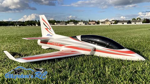 Arrows RC Viper 50mm EDF Jet Second Flight Fun & Near Crash