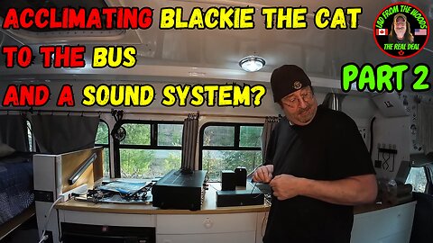04-16-24 | Acclimating Blackie The Cat To The Bus And A Sound System? | Part 2