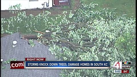 Midday storms down trees, power lines