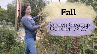 Fall Garden Cleanup // October 2022