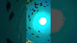 Deep Serenity: Underwater Escapes with Tranquil Meditation Music #shorts #meditationmusic