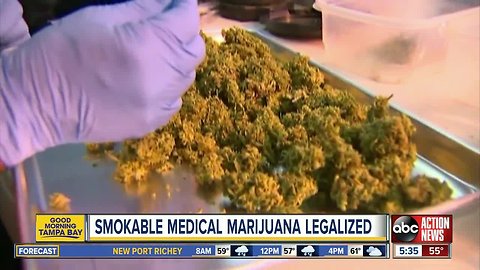 Gov. DeSantis signs smokable medical marijuana bill into law