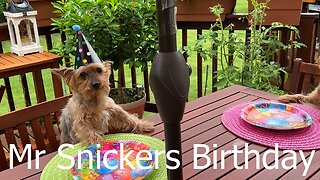 Mr Snickers Birthday