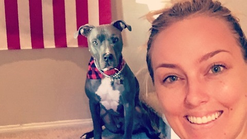 Pit Bull stalks owner everywhere she goes