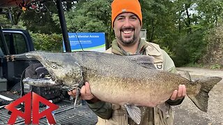 Salmon Fishing Tippy Dam for BIG POLE BENDERS!