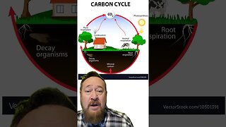 The Carbon Cycle of Life