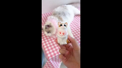 cute cat video https://shrinkme.info/zuZj https://shrinkme.info/QZEbyXjX