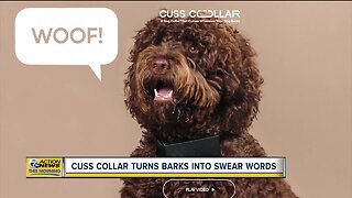 Cuss collar turns barks into swear words