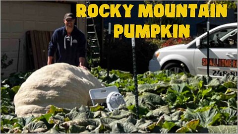 Giant Pumpkin Colorado (front yard patch )