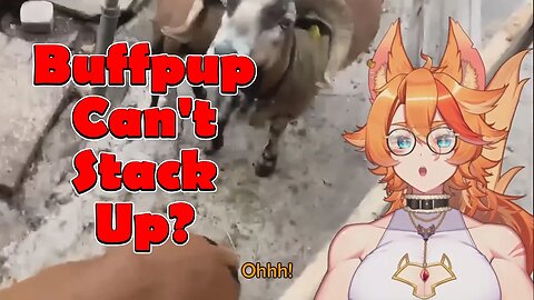 @BuffPup Can't Stack Up? #vtuber #clips