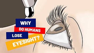 Why Do Humans Lose Eyesight? - SightCare Supplement