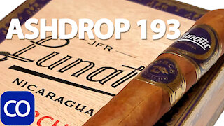 CigarAndPipes CO Ashdrop 193