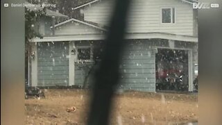 Homem corta relva enquanto neva intensamente