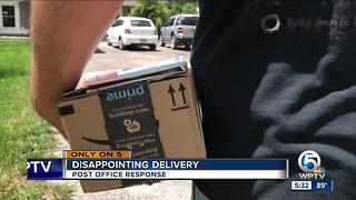 Camera captures mail carrier tossing package