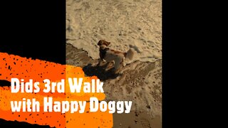 Dids 3rd Walk with Happy Doggy