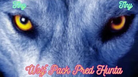 Interview with the Teams Vol 6: Wolfpack Pred Hunter ft. Tiny