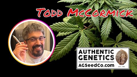 Show Highlights: Todd McCormick - Celebrities, Cannabis & Playboy Parties