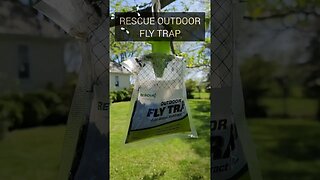 RESCUE outdoor fly trap #shorts #RescueOutdoorFlyTrap @whyrescue