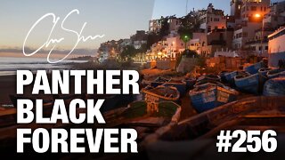 Club Shada #256 - Panther Black Forever