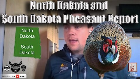 South Dakota and North Dakota Pheasant Hunting Report