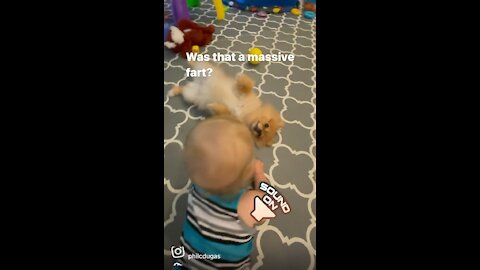 Baby Farts and Blames it on His Pomeranian Puppy