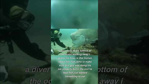 Human face fish meets Diver 🐠