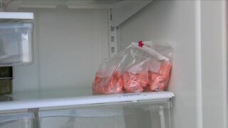 Buffalo woman starts a community fridge for those in need