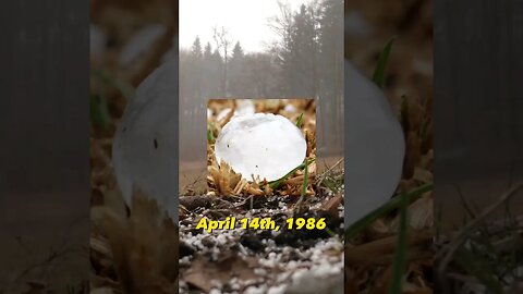 Heaviest Hailstone Ever found