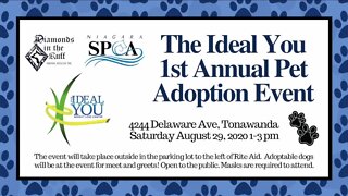 THE IDEAL YOU WEIGHT LOSS CENTER SPONSORS PET ADOPTION EVENT