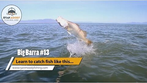 Ryan Moody Catching Big Barramundi #13