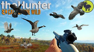 Feathered Frenzy, Hunt Club Beta | theHunter: Call of the Wild