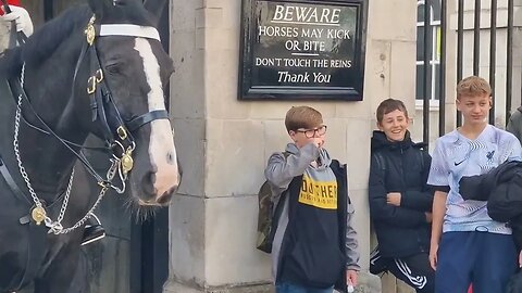 Disrespectful tourist brushes his teeth and spits in front of the kings guard #horseguardsparade