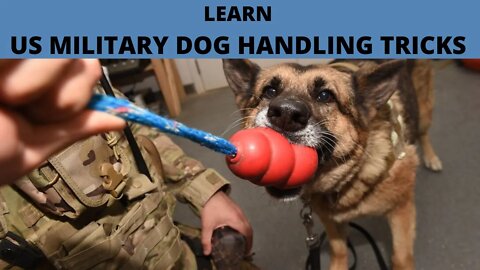 LEARN US MILITARY DOG HANDLING TRICKS