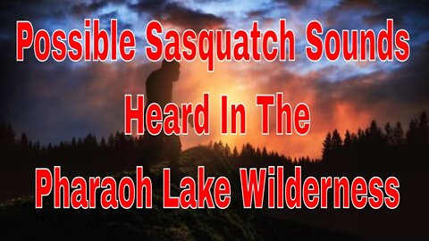 Possible Sasquatch Sounds Heard In The Pharaoh Lake Wilderness