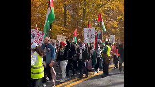 Pro-Hamas Protesters March Near Biden's Home In Delaware
