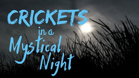 Crickets in a Mystical Night | Crickets at Night | Ambient Sound | What Else Is There?