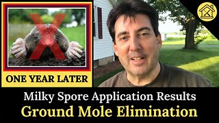 Eliminate Ground Moles? - Milky Spore Powder Results - One Year Later