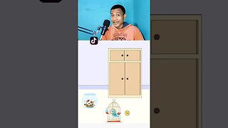 Bebaskan burung itu | Braindom level 247