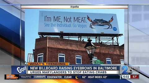 PETA billboard wants Marylanders to stop eating crabs