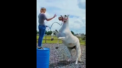 Fantastic funny girl and horse 🐎 🤣 #rumbleshort video