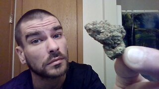 Ice Cream Cake THCA Flower Review! (SOHO Hemp)