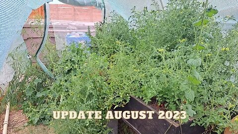 Greenhouse and Aquaponics Update August 2023