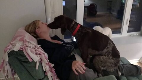 Dog loves his mommy! - German Shorthaired Pointer kissing/licking and being a lap dog!