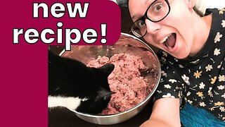 Beginner friendly raw BONELESS cat food recipe