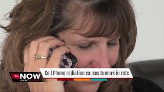 Ask Dr. Nandi: Cell phone radiation causes tumors in rats