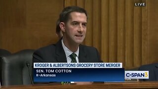 Tom Cotton leaves woke Kroger CEO speechless at hearing