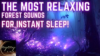 ✨Zen Nocturnal Forest | Relaxing music | Sleep Instantly😴